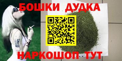 молекула духа Пенза