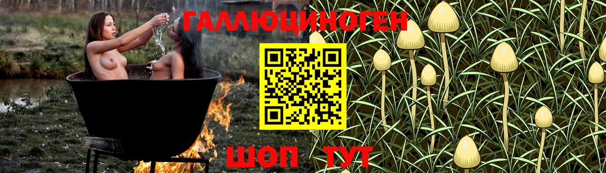 Тара  закладка  Вход с VPN  Псилоцибиновые грибы прущие грибы 